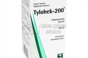 tylohek
